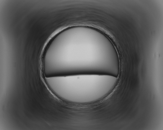 X0000084521517200703021344