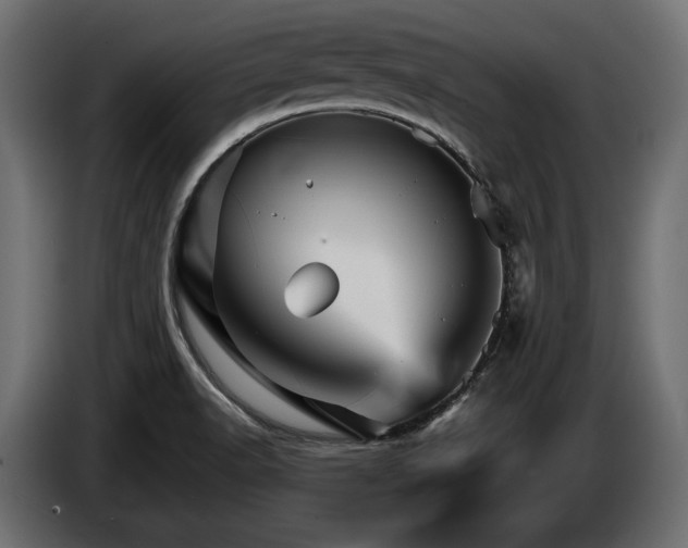 X0000084521518200703021344