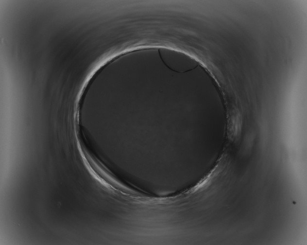 X0000084521519200703021344