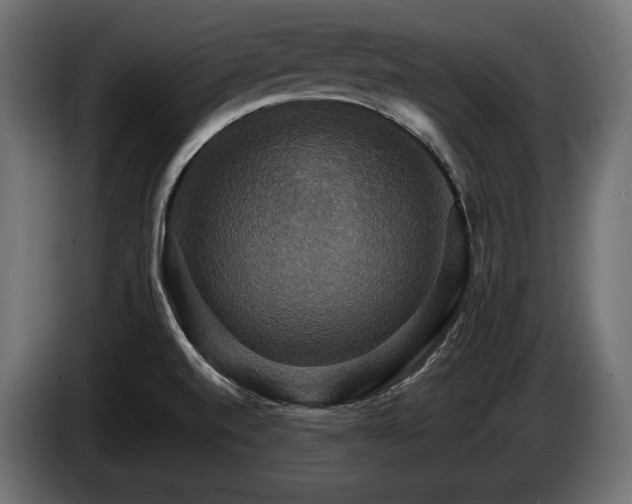 X0000084521520200703021344