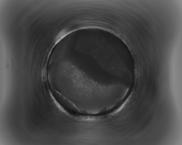 X0000084521521200703021344