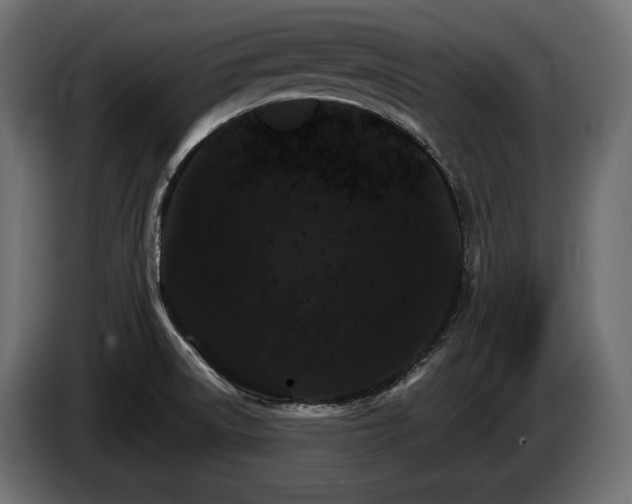 X0000084521522200703021344