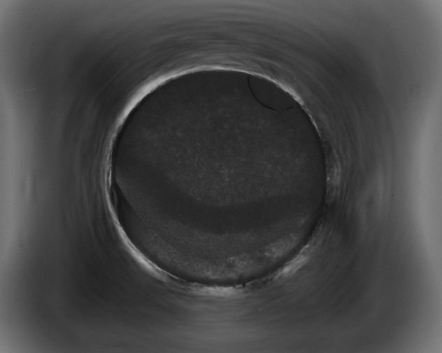 X0000084521523200703021344