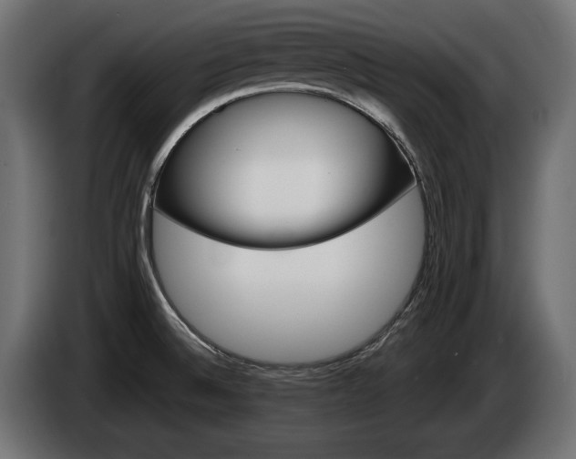 X0000084521524200703021344