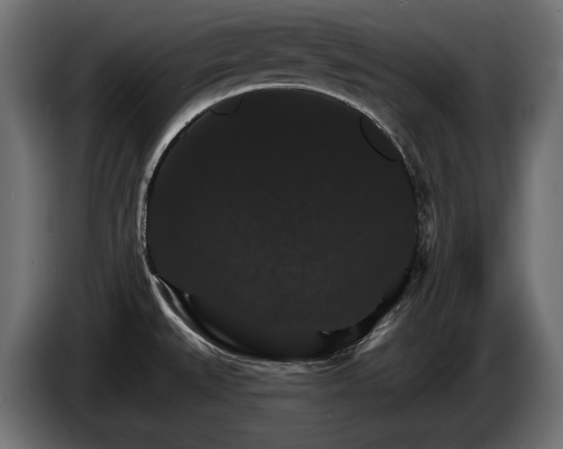 X0000084521527200703021344