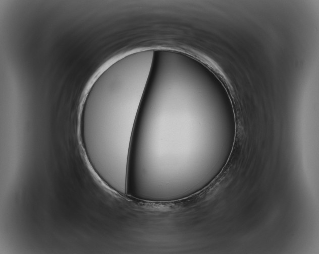 X0000084521528200703021344