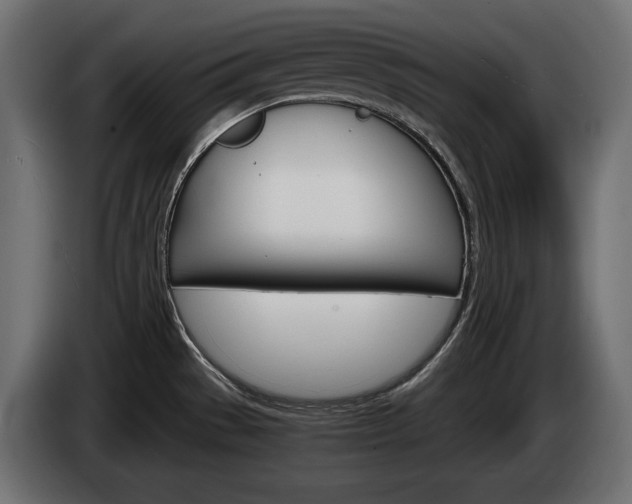 X0000084521529200703021344