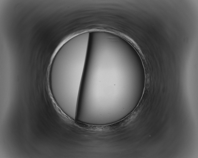 X0000084521530200703021344