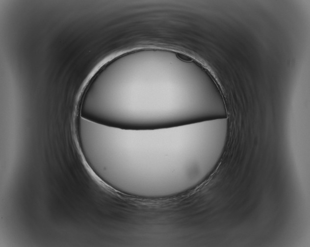 X0000084521531200703021344