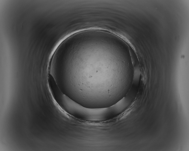 X0000084521532200703021344