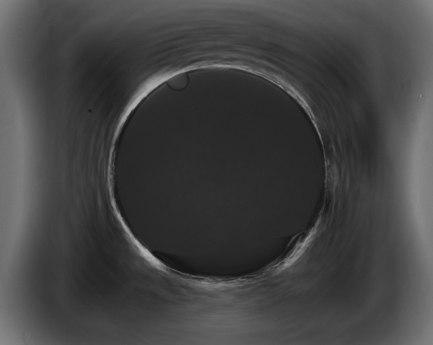 X0000084521533200703021344