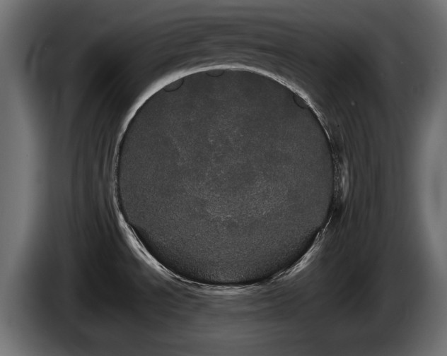 X0000084521534200703021344