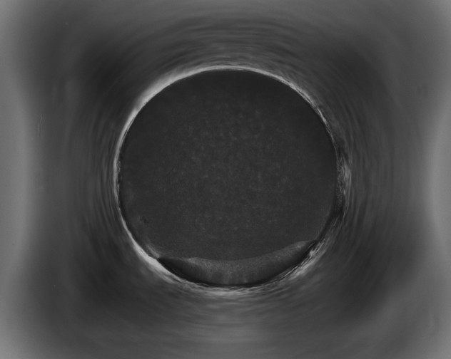 X0000084521535200703021344