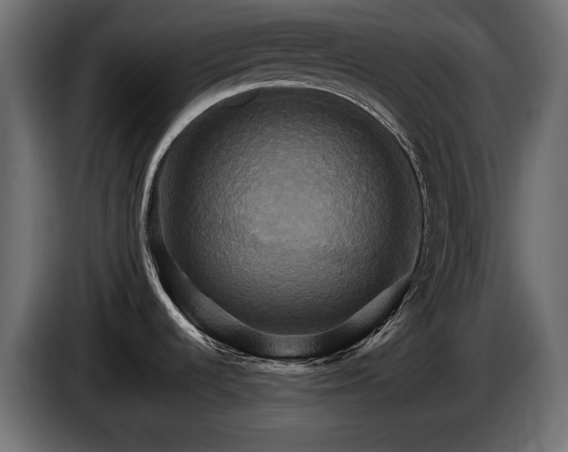 X0000084521536200703021344