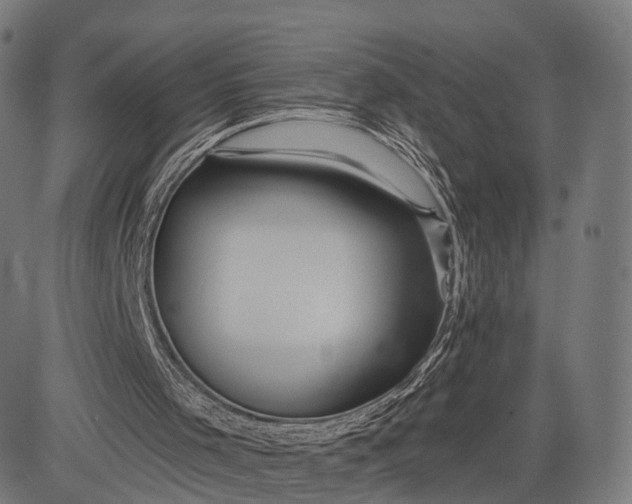 X0000084520001200703091614