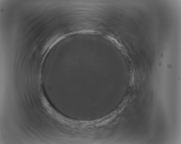 X0000084520002200703091614