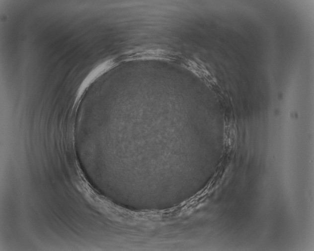 X0000084520004200703091614