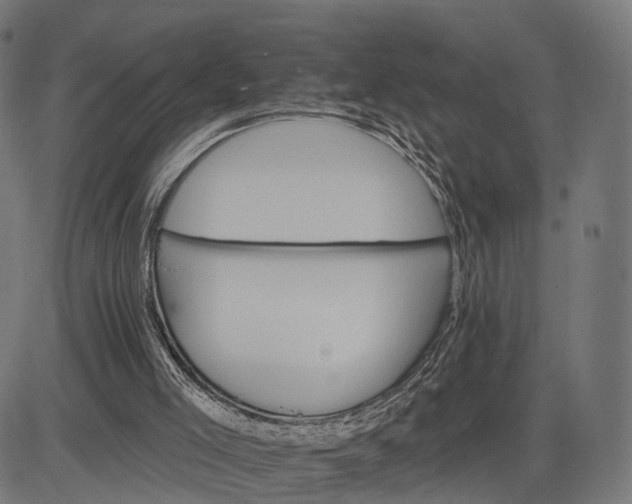 X0000084520005200703091614