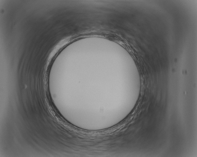 X0000084520006200703091614