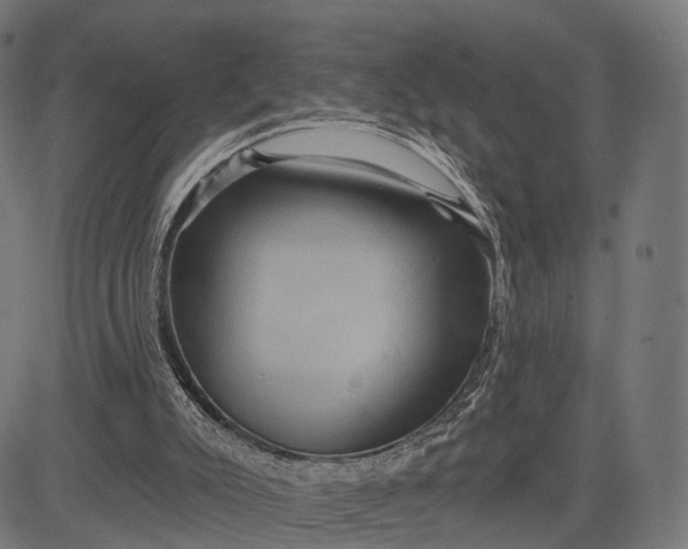 X0000084520007200703091614