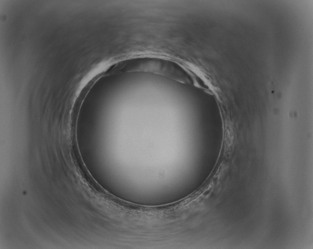 X0000084520008200703091614