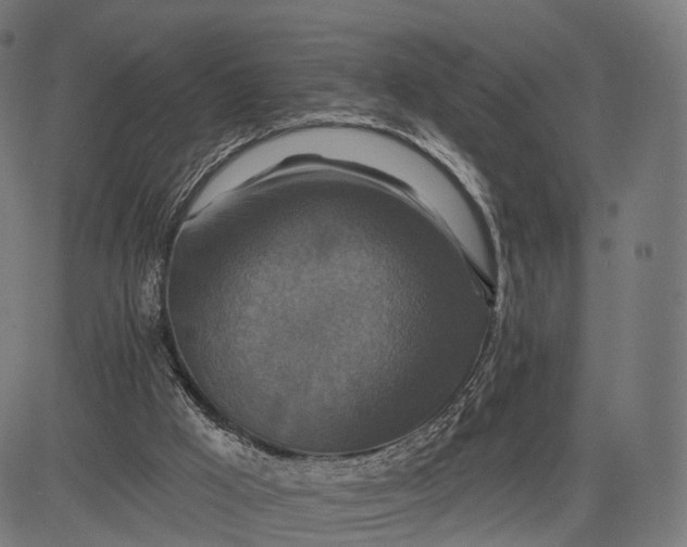 X0000084520009200703091614