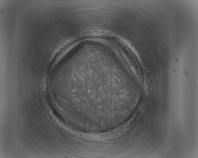 X0000084520010200703091614