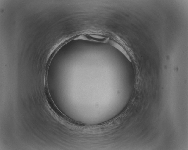 X0000084520011200703091614