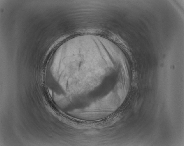 X0000084520012200703091614