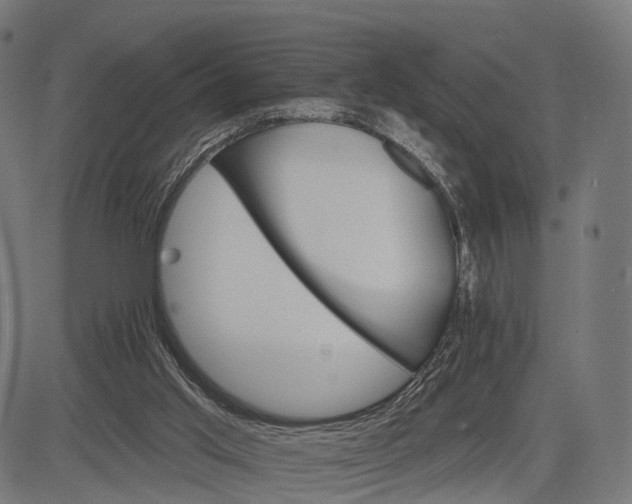 X0000084520013200703091614