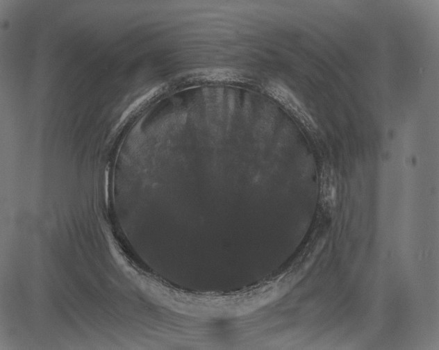 X0000084520014200703091614