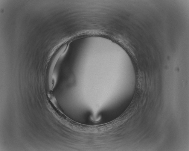 X0000084520015200703091614