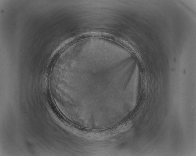 X0000084520016200703091614