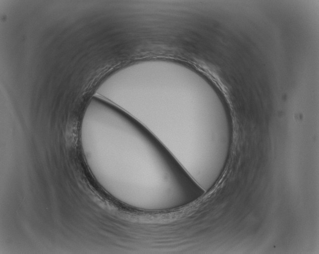 X0000084520017200703091614