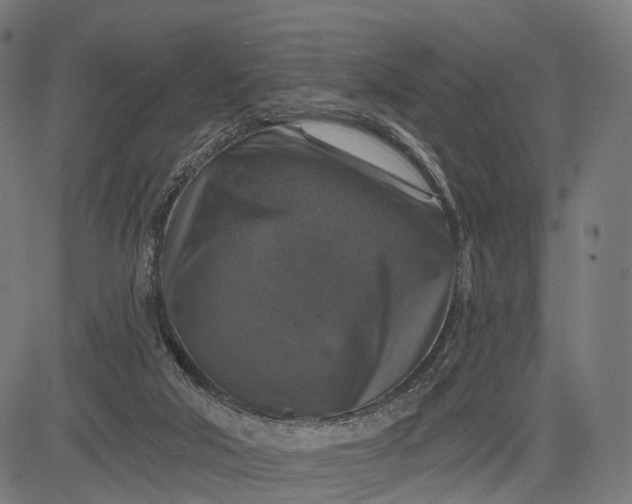 X0000084520018200703091614