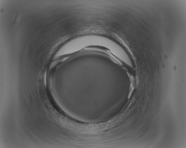 X0000084520019200703091614