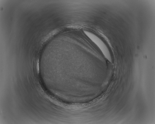 X0000084520020200703091614