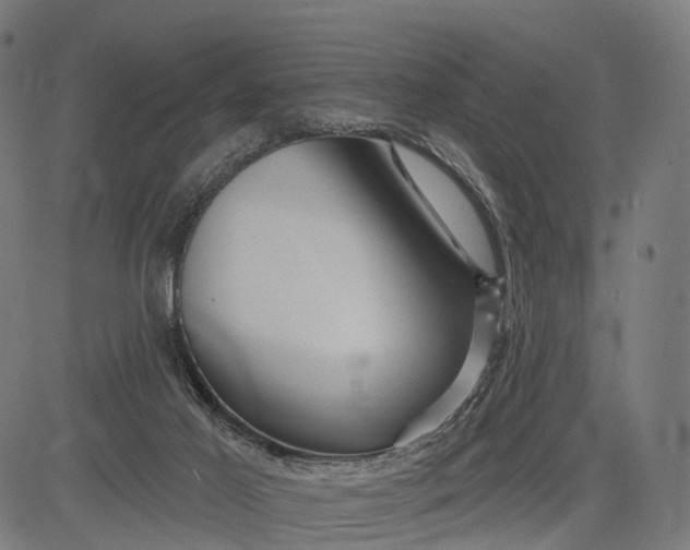 X0000084520021200703091614