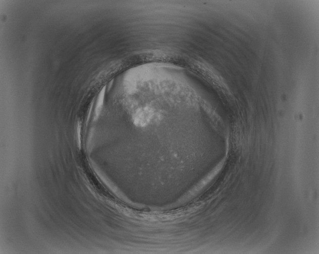 X0000084520022200703091614