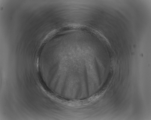 X0000084520024200703091614