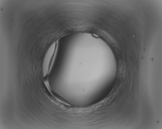 X0000084520025200703091614