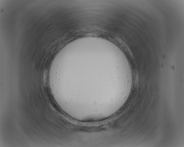 X0000084520026200703091614