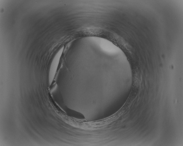 X0000084520027200703091614