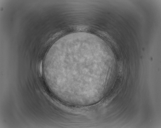 X0000084520028200703091614