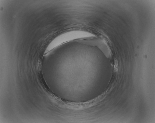 X0000084520029200703091614