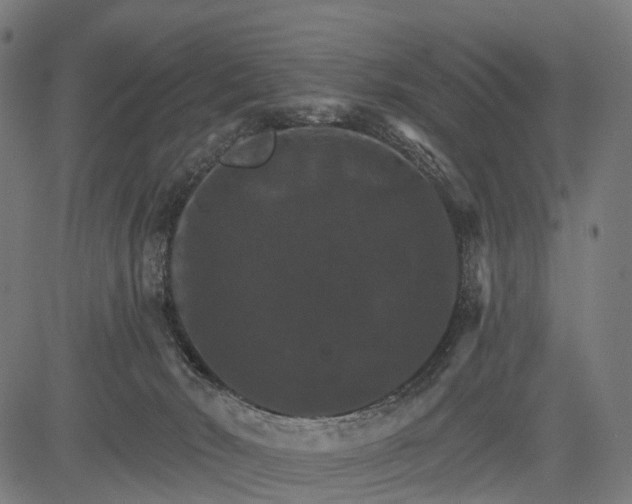 X0000084520030200703091614