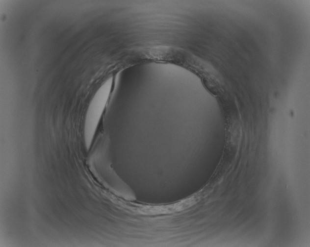 X0000084520031200703091614