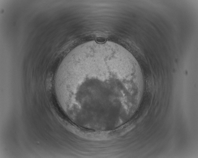 X0000084520032200703091614