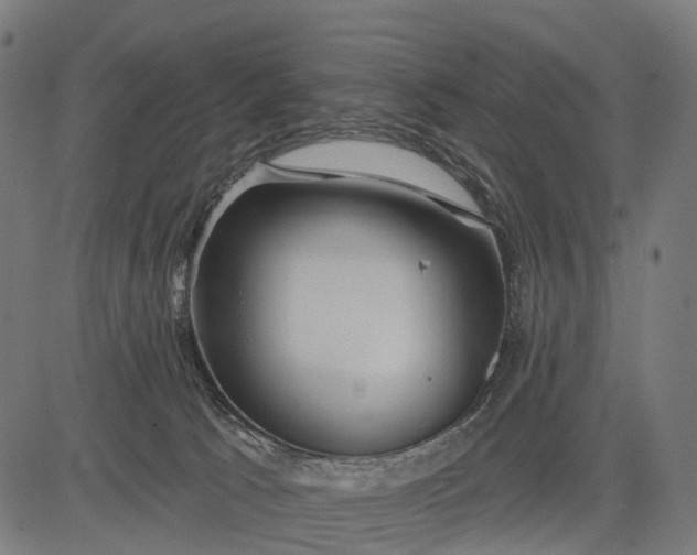 X0000084520033200703091614