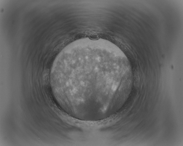 X0000084520034200703091614